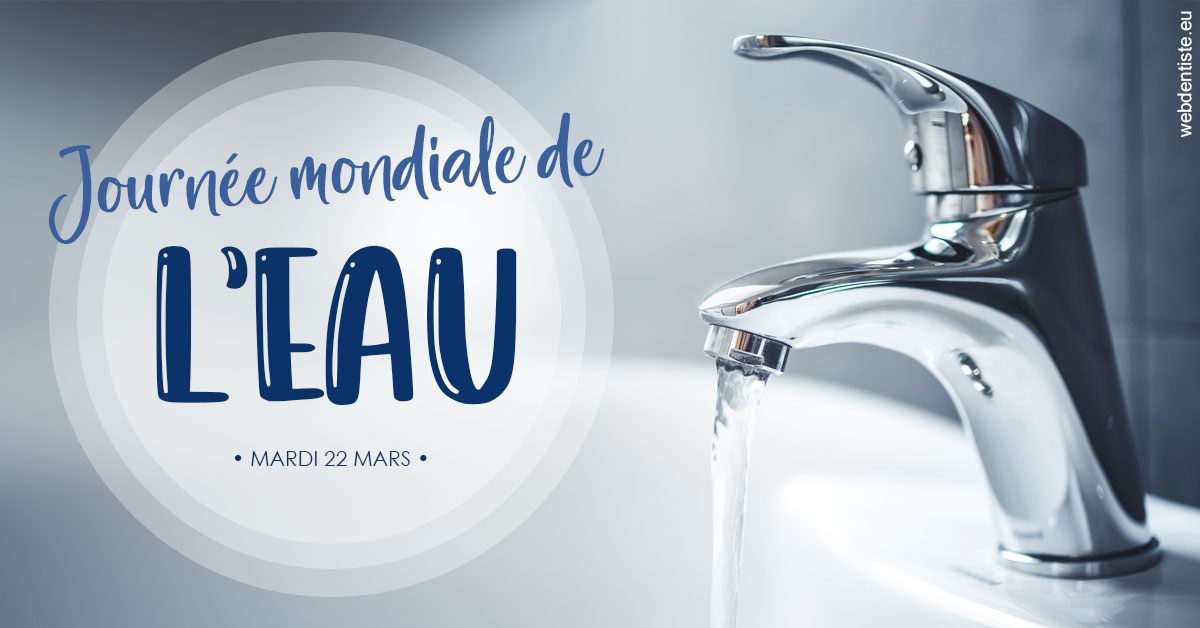 https://www.cabinet-dentaire-drlottin-drmagniez.fr/La journée de l'eau 2