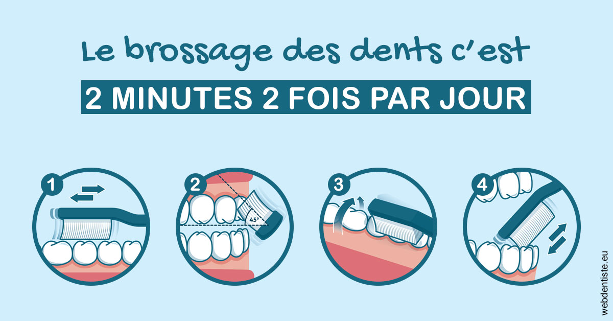 https://www.cabinet-dentaire-drlottin-drmagniez.fr/Les techniques de brossage des dents 1