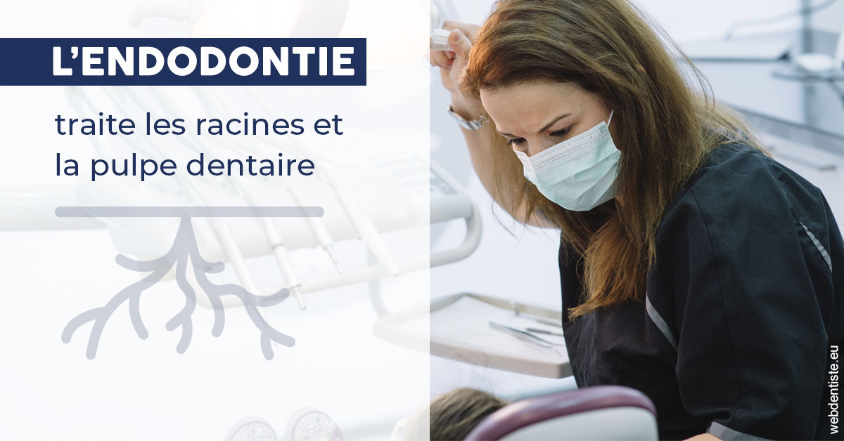 https://www.cabinet-dentaire-drlottin-drmagniez.fr/L'endodontie 1