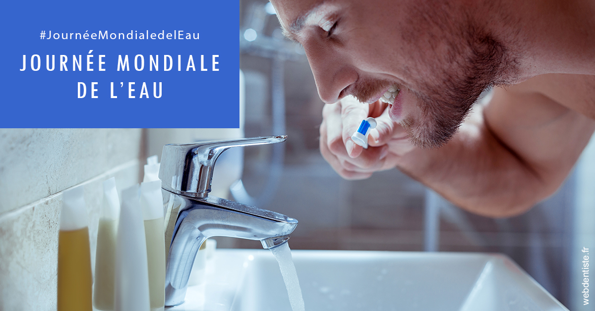 https://www.cabinet-dentaire-drlottin-drmagniez.fr/Journée de l'eau 2