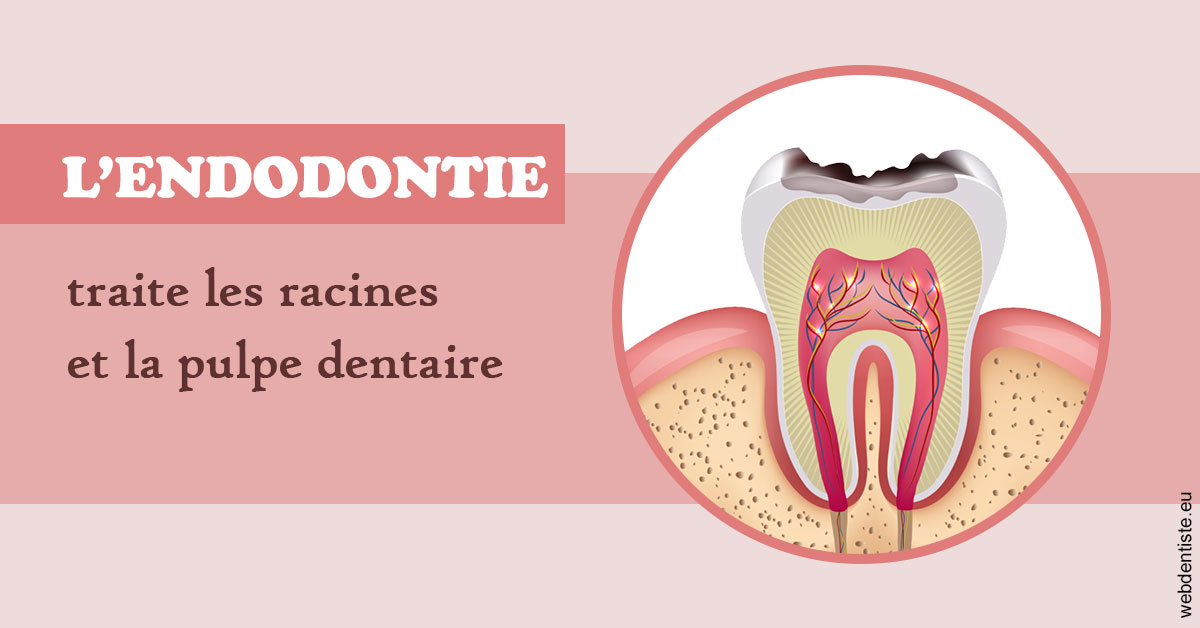 https://www.cabinet-dentaire-drlottin-drmagniez.fr/L'endodontie 2