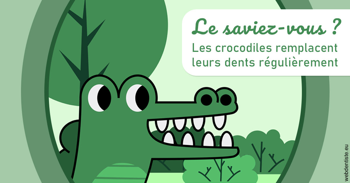 https://www.cabinet-dentaire-drlottin-drmagniez.fr/Crocodiles 2