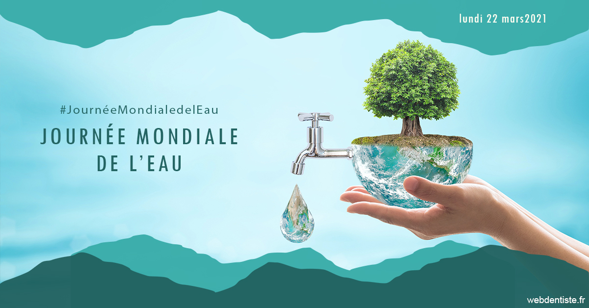 https://www.cabinet-dentaire-drlottin-drmagniez.fr/Journée de l'eau 1