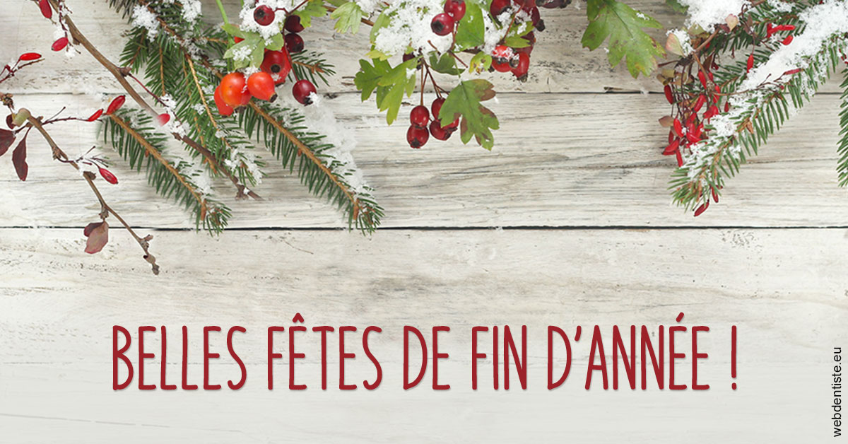 https://www.cabinet-dentaire-drlottin-drmagniez.fr/Joyeux Noël 2