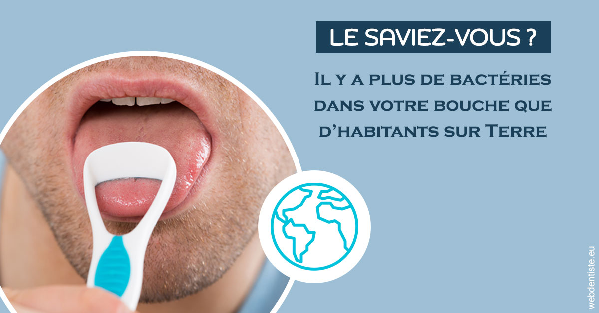 https://www.cabinet-dentaire-drlottin-drmagniez.fr/Bactéries dans votre bouche 2