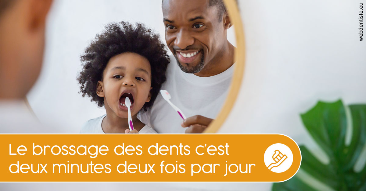 https://www.cabinet-dentaire-drlottin-drmagniez.fr/Les techniques de brossage des dents 2