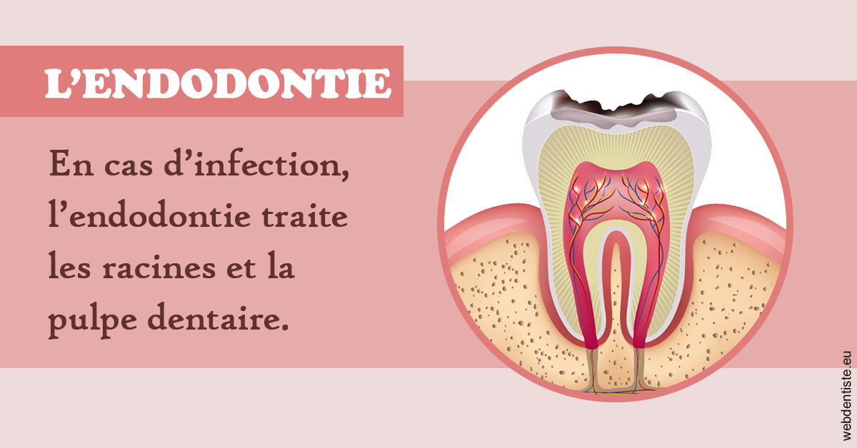 https://www.cabinet-dentaire-drlottin-drmagniez.fr/L'endodontie 2